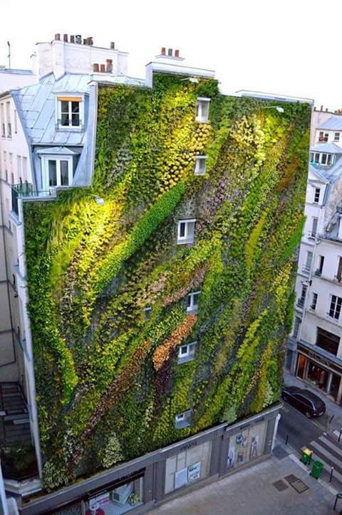 Architecture & Vegetation